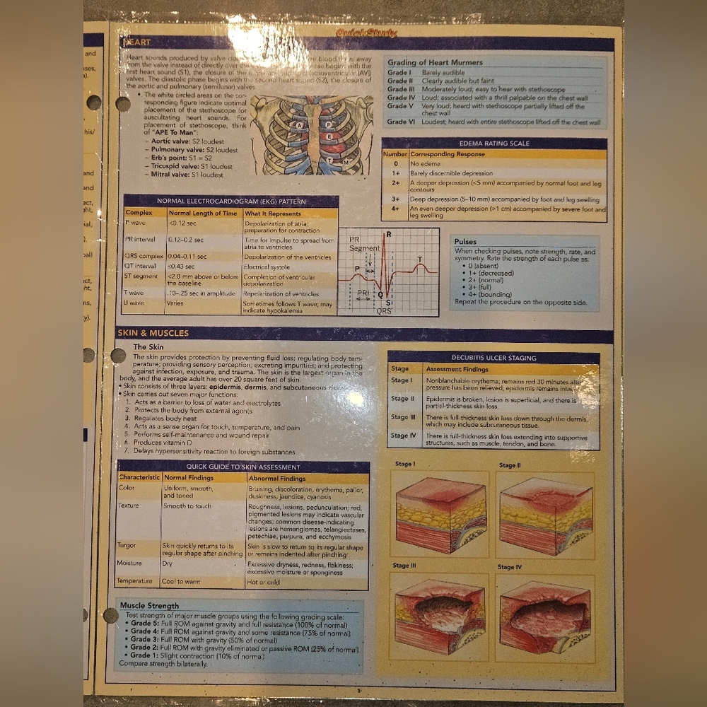 Nursing Quick Reference Guide - Picture 4 of 7